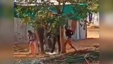 तमिलनाडु: हाथी को पेड़ से बांधकर बेरहमी से पीटा, IAS ने कहा- राक्षस हैं ये लोग!