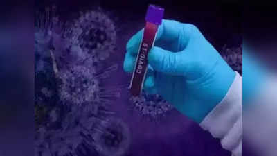 coronavirus update करोना: राज्यात आज १,१७२ नव्या रुग्णांचे झाले निदान, मृत्यूसंख्येत घट