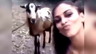 वीडियो: महिला ले रही थी सेल्फी, लेकिन बकरी टक्कर पहलवान बन गई