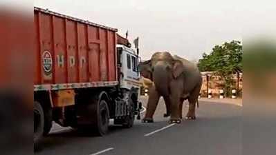 वीडियो: ट्रक ड्राइवर बजा रहा था हॉर्न, हाथी को आ गया गुस्सा और फिर...