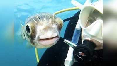 इस मछली की ‘मुस्कान’ ने जीता लोगों का दिल, सेल्फी वीडियो वायरल