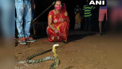 महिला ने 8 फुट लंबे किंग कोबरा को किया रेस्क्यू, लोग बोले- इसे कहते हैं डेरिंग!