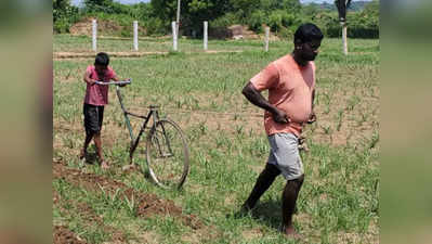 लॉकडाउन ने बनाया कर्जदार तो किसान ने बेटे की साइकिल को हल बना दिया