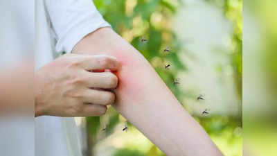 <strong>Dengue prevention : </strong>दिवसातील कोणत्या वेळी सर्वात जास्त अ‍ॅक्टिव्ह असतो डेंग्यूचा मच्छर? ताप डेंग्यूचाच आहे हे कसं ओळखावं व कोणत्या लोकांना असतो जास्त धोका? 
