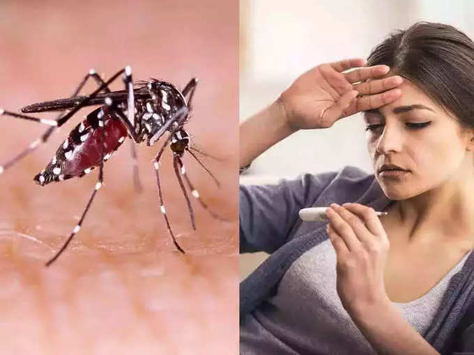 डेंग्यूची लक्षणे