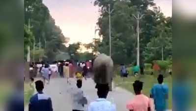वायरल वीडियो: हाथी को आया गुस्सा, भीड़ पर ऐसा कर दिया अटैक