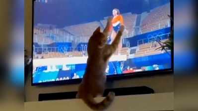 टोक्यो ओलिंपिक: TV पर जिमनास्ट को देख बिल्ली ने किया ये कारनामा