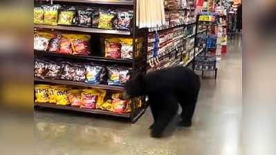 वीडियो: किराने का सामान खरीद रहे थे लोग, तभी स्टोर में घुसा भालू