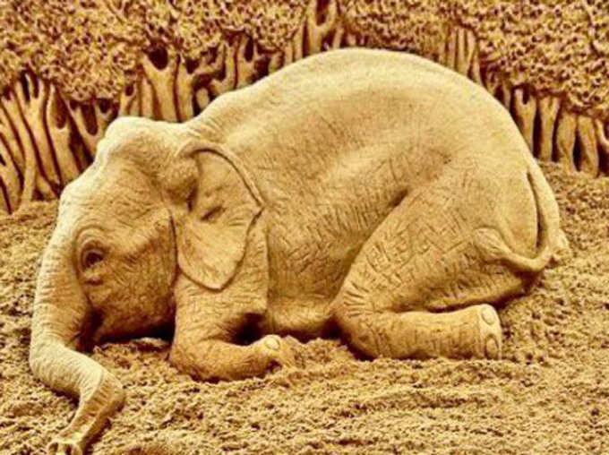हाथी लेट कर नहीं ब्लकि खड़े होकर ही सोते हैं!