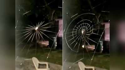 कभी मकड़ी को जाल बुनते देखा है? इस वीडियो ने लोगों को हैरान कर दिया