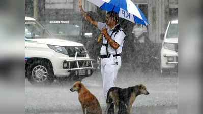इंसानियत की तस्वीर! भारी बरसात में बेसहारा कुत्तों की छत बना पुलिसकर्मी