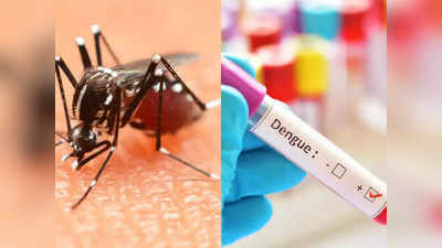 दिल्ली में डेंगू से मरने वालों की संख्या बढ़कर 6, केंद्रीय स्वास्थ्य मंत्री ने बुलाई हाईलेवल मीटिंग
