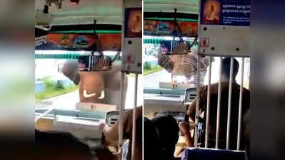 वीडियो: हाथी ने बस पर किया अटैक, IFS ने की ड्राइवर की खूब तारीफ