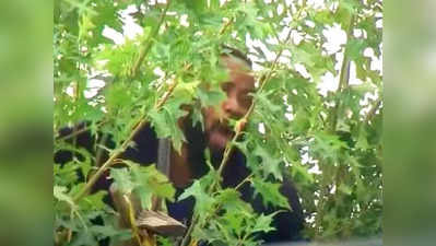 पुलिस पकड़ने पहुंची तो बंदा पेड़ पर चढ़ गया और वहीं गुजार दी 2 रातें
