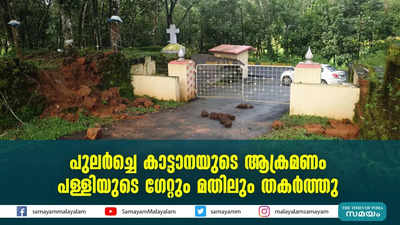 പുലർച്ചെ കാട്ടാനയുടെ ആക്രമണം;  പള്ളിയുടെ ഗേറ്റും മതിലും തകർത്തു