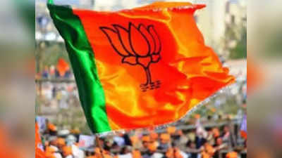 bjp rally in jalgoan: भाजपाचा जळगावाच मोर्चा; जिल्हापरिषद अध्यक्षांना आली भोवळ