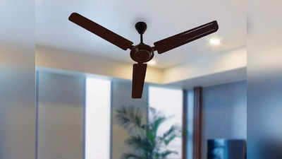 कॉपर वाइंडिंग मोटर वाले इन Ceiling Fans से आपके रूम के कोने-कोने में पहुंचेगी हवा, आज ही घर लाएं