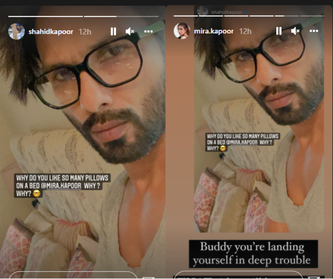 shahid kapoor insta story