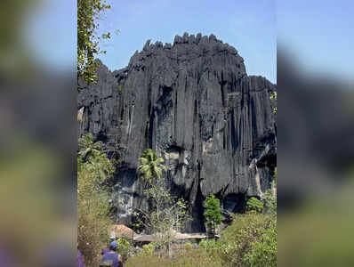 ಭಸ್ಮಾಸುರ ಭಸ್ಮವಾಗಿದ್ದು ಕರ್ನಾಟಕದ ಈ ಸ್ಥಳದಲ್ಲಿಯೇ