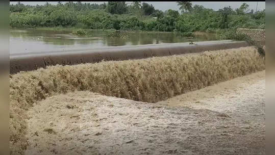 ஒரே நாளில் கொட்டித் தீர்த்த மழை.... அதுவும் வானதி மேடம் ஏரியாவில்தான் அதிகம்!