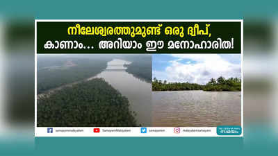 നീലേശ്വരത്തുമുണ്ട് ഒരു ദ്വീപ്, കാണാം... അറിയാം ഈ മനോഹാരിത! വീഡിയോ കാണാം