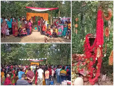 গভীর জঙ্গলে গাছের কোটরে সকালবেলা পুজো পান কাঁকসা বনকালী