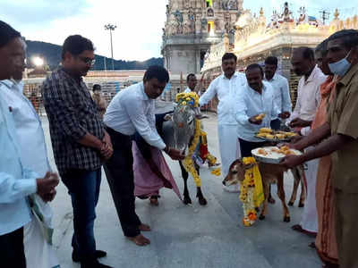 ಚಾಮರಾಜೇಶ್ವರ, ಮಾದಪ್ಪನ ದೇಗುಲದಲ್ಲಿ ದೀಪಾವಳಿ ಸ್ಪೆಷಲ್ ಗೋ ಪೂಜೆ..!