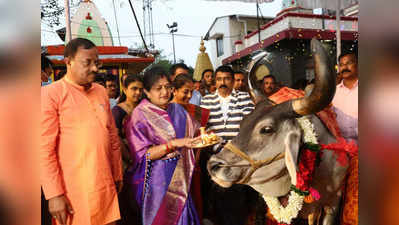 ದೇವಸ್ಥಾನಗಳಲ್ಲಿ ಗೋಶಾಲೆ ಸ್ಥಾಪನೆಗೆ ಚಿಂತನೆ - ಶಶಿಕಲಾ ಜೊಲ್ಲೆ