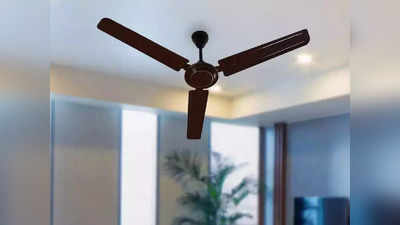 आजच घरी आणा कॉपर वाइंडिंग मोटर असलेले हे Ceiling Fan - रूमच्या प्रत्येक कोपऱ्यात येईल वाऱ्याची छान झुळूक