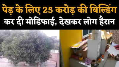 25 करोड़ की ब्लिडिंग में पेड़ बना बाधा, परिवार ने लगाया धांसू दिमाग!