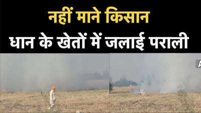 लुधियाना में खेतों में जलाई गई पराली, आसमान हुआ धुंआ-धुंआ