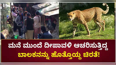 ಮನೆ ಮುಂದೆ ದೀಪಾವಳಿ ಆಚರಿಸುತ್ತಿದ್ದ ಬಾಲಕನನ್ನು ಹೊತ್ತೊಯ್ದ ಚಿರತೆ!