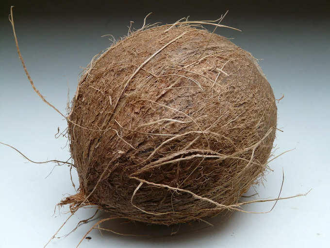 Coconut