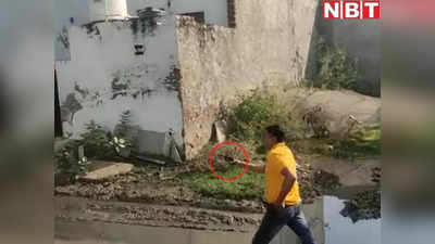 Bharatpur News : घर में घुसकर बाप-बेटे की गोली मारकर हत्या, एक दिन पहले आरोपियों ने की थी फायरिंग