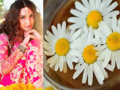 Skin Care Benefits Of Chamomile: भरपूर नूर दिखेगा चेहरे पर, इस तेल को लगा सालों साल जवां रहते थे मिश्र; ग्रीक और रोम के लोग