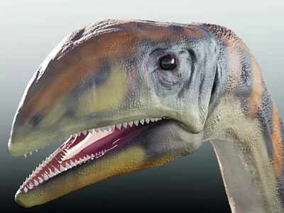 Cold Bone: वैज्ञानिकों को मिली डायनासोर की नई प्रजाति, 21 करोड़ साल पहले करता था धरती पर राज
