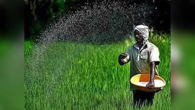 DAP fertilizer crisis in UP: यूपी में नहीं खत्म हो रहा डीएपी खाद का संकट, फसलें प्रभावित