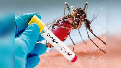 Dengue in Moradabad: मुरादाबाद में बढ़ रहा डेंगू का कहर, निजी अस्पताल में 1 घंटे में 3 की मौत