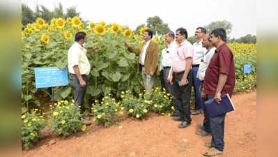 ಬೆಂಗಳೂರಿನ ಜಿಕೆವಿಕೆಯಲ್ಲಿ ನ. 11ರಿಂದ 14ರವರೆಗೆ ಯುಎಎಸ್‌ಬಿ ಕೃಷಿ ಮೇಳ ಆಯೋಜನೆ