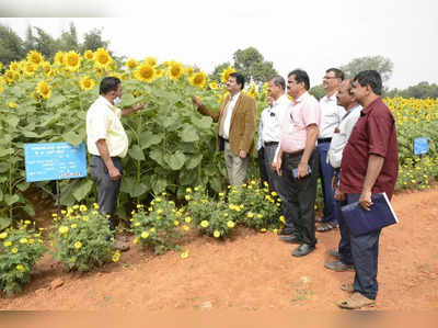 ಬೆಂಗಳೂರಿನ ಜಿಕೆವಿಕೆಯಲ್ಲಿ ನ. 11ರಿಂದ 14ರವರೆಗೆ ಯುಎಎಸ್‌ಬಿ ಕೃಷಿ ಮೇಳ ಆಯೋಜನೆ