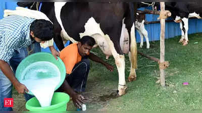 ಹಾಲು ಖರೀದಿ ದರ ₹1.50 ಕಡಿತಕ್ಕೆ ಖಂಡನೆ: ತಲೆ ಮೇಲೆ ಕಲ್ಲು ಹೊತ್ತು ಪ್ರತಿಭಟನೆ!