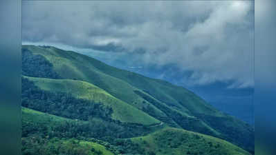 ಚಿಕ್ಕಮಗಳೂರಿನಲ್ಲಿ ಕಣ್ಮರೆಯಾಗ್ತಿದೆ ಶೋಲಾ ಅರಣ್ಯ..! ಪರಿಸರ ಪ್ರೇಮಿಗಳ ಆತಂಕ..!