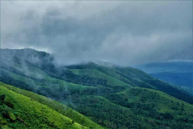 ​ಅಪರೂಪದ ಈ ಅರಣ್ಯ ಖಗ, ಮೃಗಗಳ ಬೀಡು..!