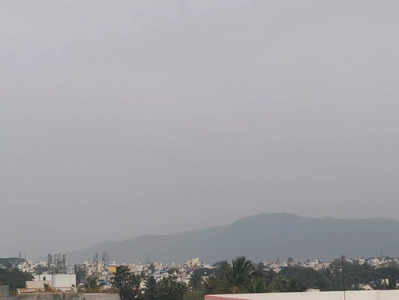 ಮಲೆನಾಡಾದ ಮೈಸೂರು..! ಇಡೀ ನಗರಕ್ಕೆ ಮಂಜಿನ ಹೊದಿಕೆ.. ತುಂತುರು ಮಳೆ, ಚುಮುಚುಮು ಚಳಿ
