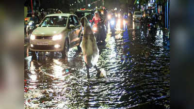 வேளச்சேரி, பள்ளிக்கரணையில் தண்ணீர் தேங்குவது ஏன்?: விஜய் பட இயக்குநர் செம விளக்கம்