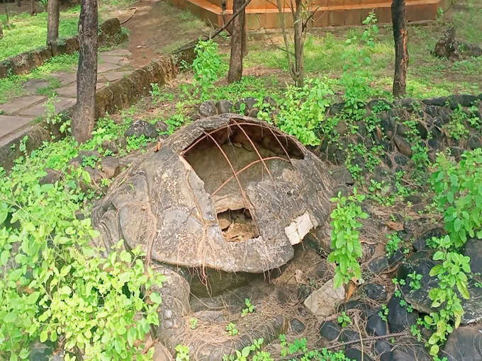 ಇಕೋ ಪಾರ್ಕ್