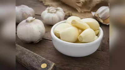 Garlic Benefits: শীতের মুখে রোজ কেন খাবেন রসুন? পড়ুন, বিশেষজ্ঞ পরামর্শ