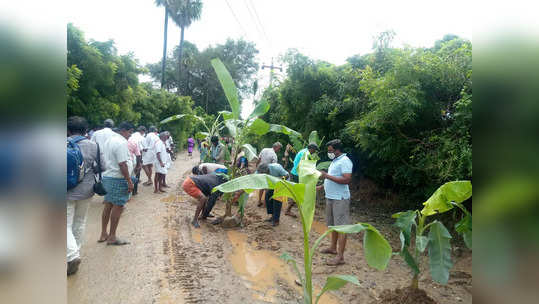 பள்ளமான சாலையில் வாழை மரம் வைத்து திருப்பூர்வாசிகள் போராட்டம்!