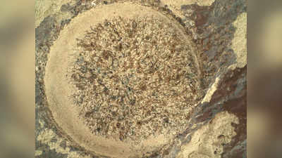 नासा के Perseverance रोवर ने मंगल पर की खुदाई, चट्टान के भीतर पहली बार दिखा रहस्यमय धब्बा
