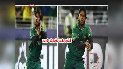 Hasan Ali‌కి వసీం అక్రమ్ మద్దతు.. అగ్నికి ఆజ్యం పోయొద్దని చురకలు 